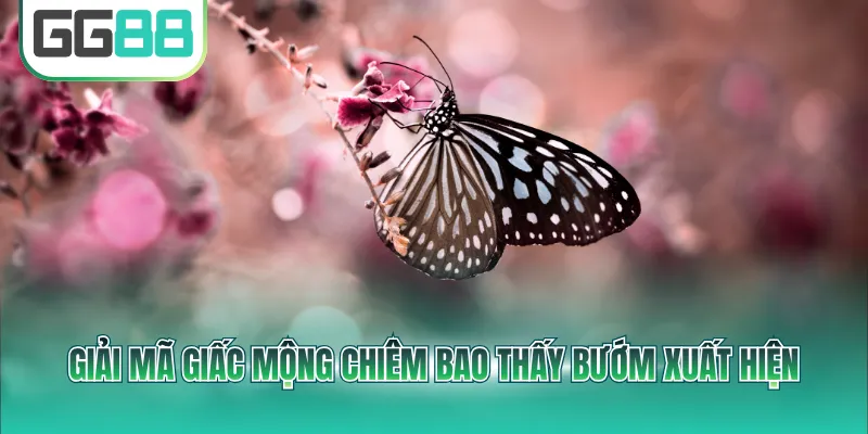 Giải mã giấc mộng chiêm bao thấy bướm xuất hiện
