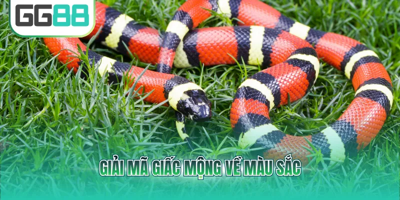 Giải mã giấc mộng về màu sắc