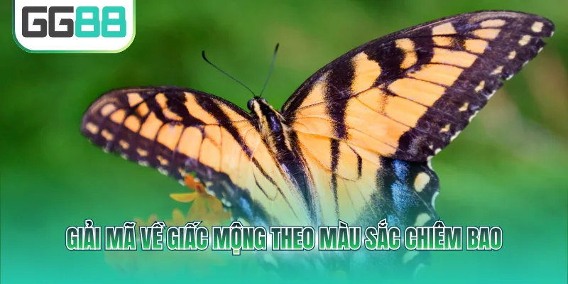 Giải mã về giấc mộng theo màu sắc chiêm bao