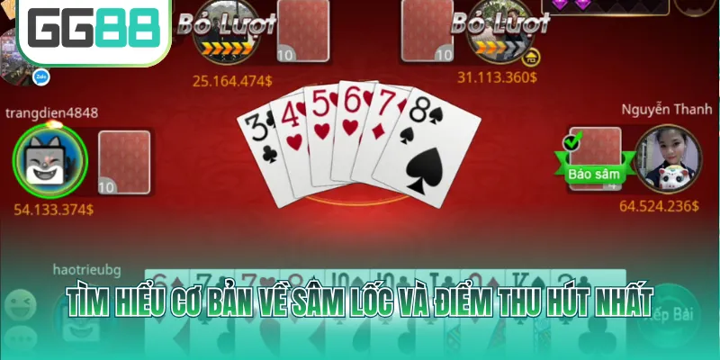 Tìm hiểu cơ bản về Sâm Lốc và điểm thu hút nhất