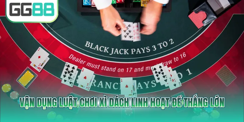 Vận dụng luật chơi Xì Dách linh hoạt để thắng lớn